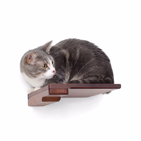 Catastrophic Creations Wooden Cat Step Floating Shelf