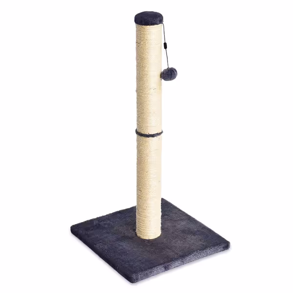 Amazon Basics Cat Scratcher