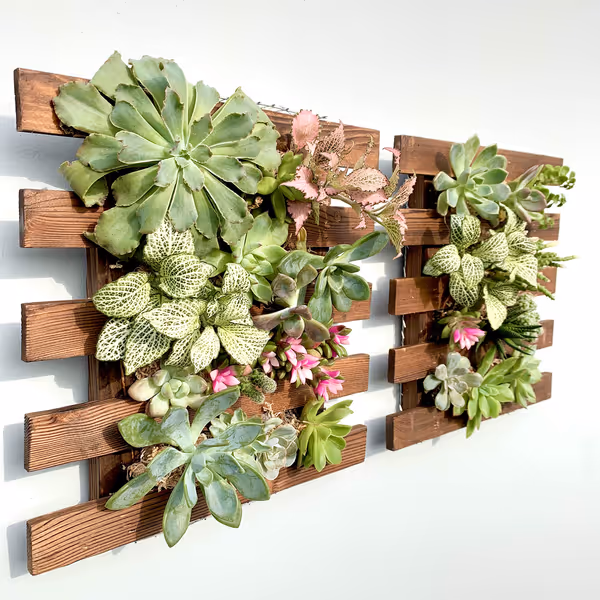 ShopLaLa Wooden Wall Planter (2-Pack)