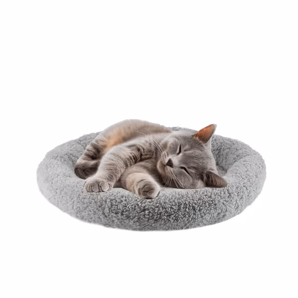 LESYPET Cat Bed for Indoor Cats